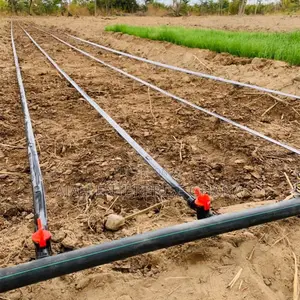 Irrigation Service Provider
