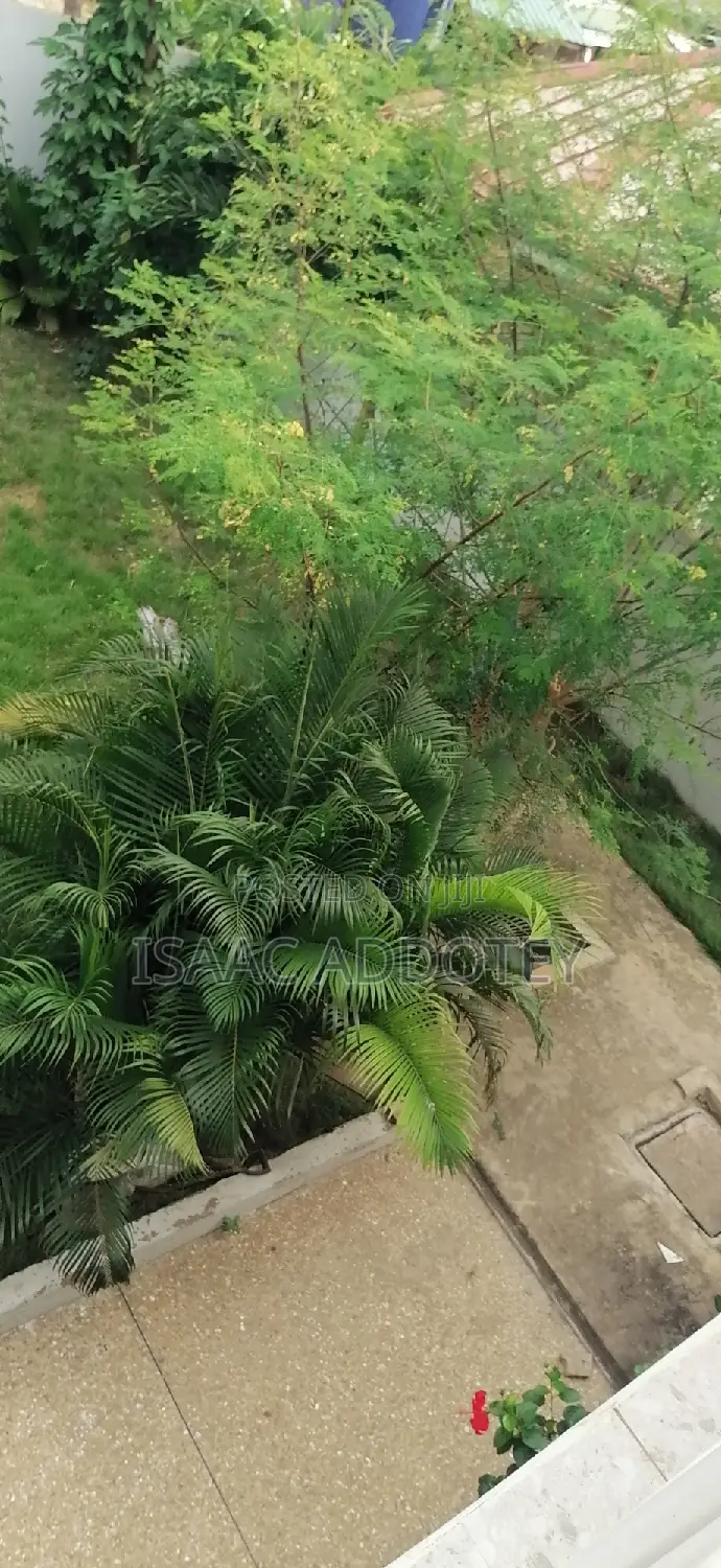 Furnished 1bdrm Apartment in Spintex She'Ll Sign for rent