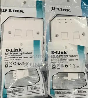 D-Link Double Face With Keystone Jack 2 Faceplate