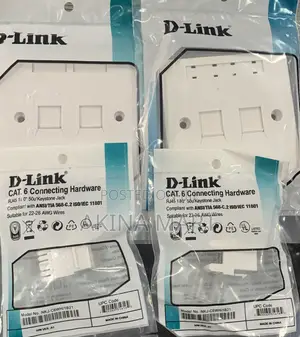 D-Link Double Face With Keystone Jack 2 Faceplate