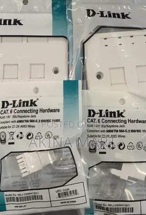 D-Link Double Face With Keystone Jack 2 Faceplate