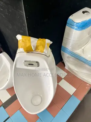 Automatic Urinal Pot