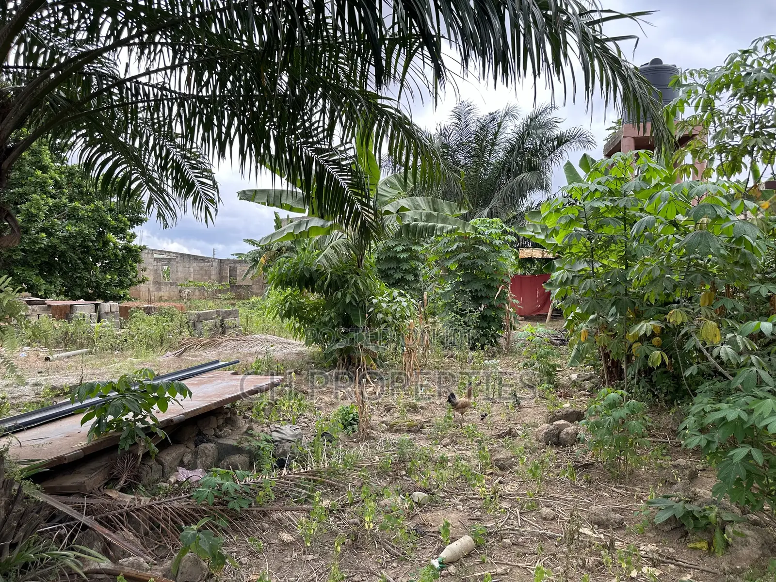 One Full Plot for Sale at Daban.
