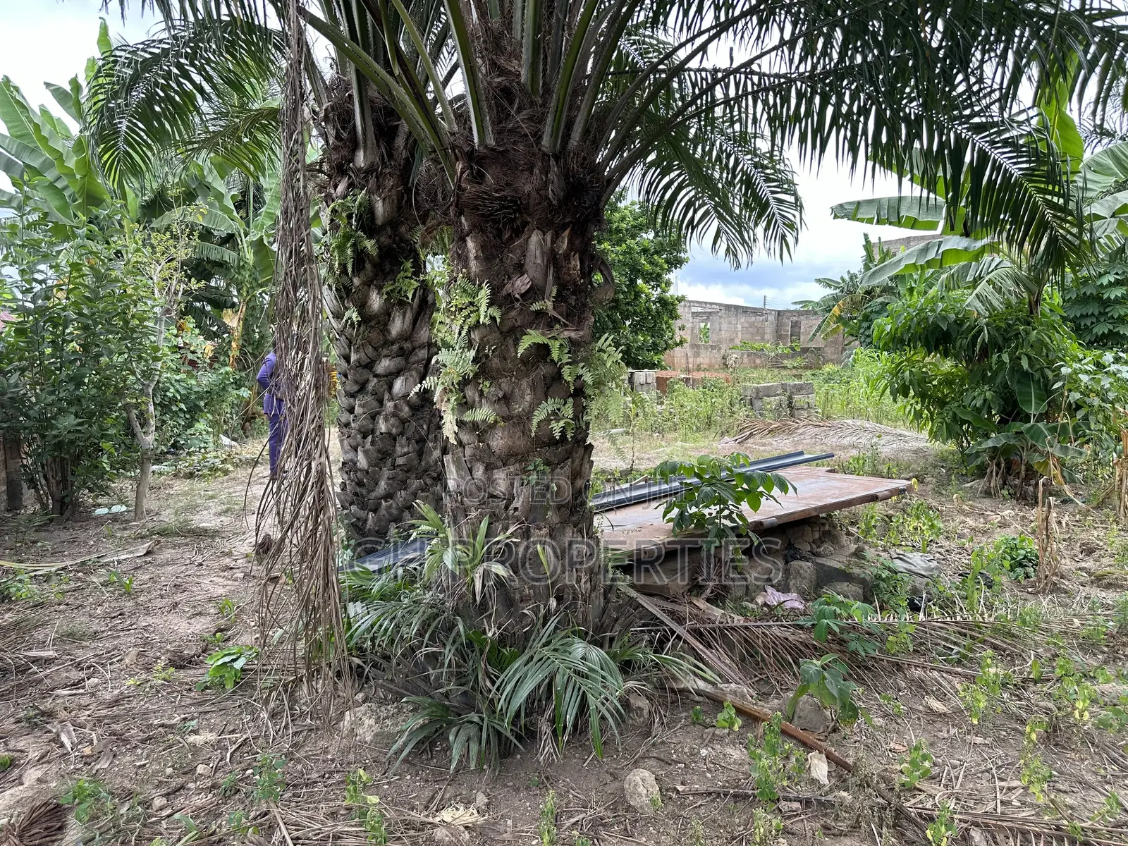 One Full Plot for Sale at Daban.