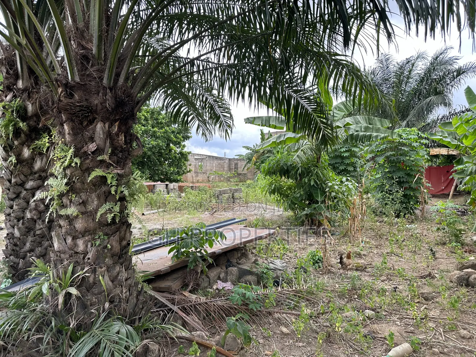 One Full Plot for Sale at Daban.