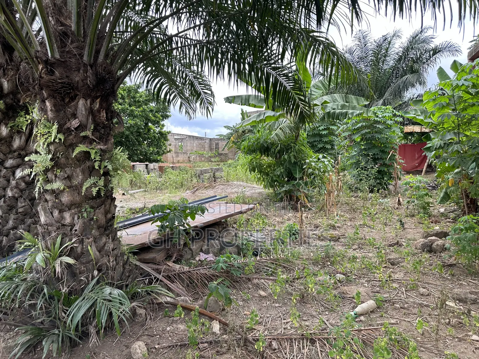 One Full Plot for Sale at Daban.