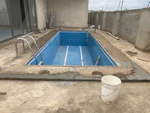 Swimming Pool Ladder
