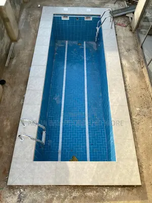 Swimming Pool Ladder