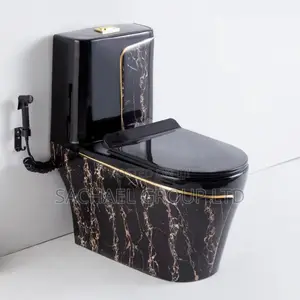 Luxurious Vanity Water Closet