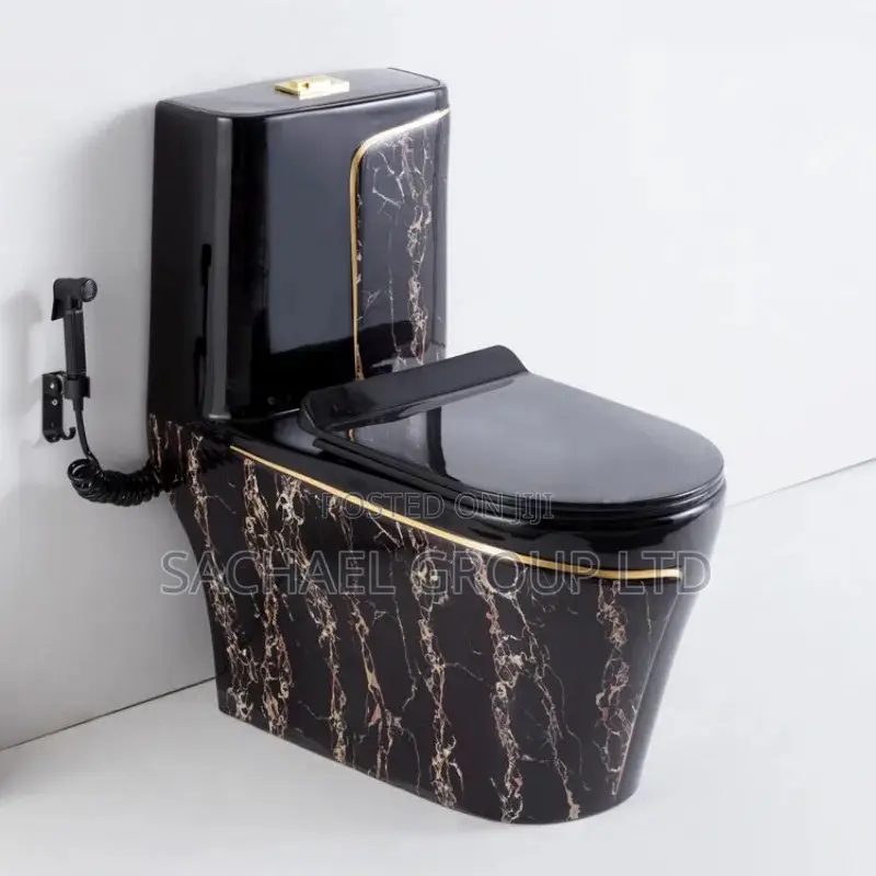 Luxurious Vanity Water Closet