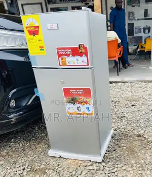 Long Lasting Zara 135 KG 110L Electric Fridge(Gray).