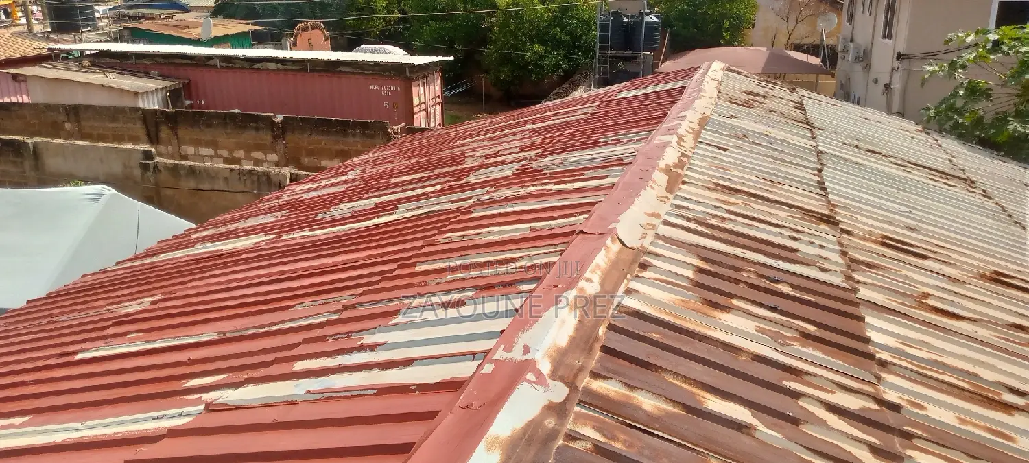 Roof Painting / Spraying