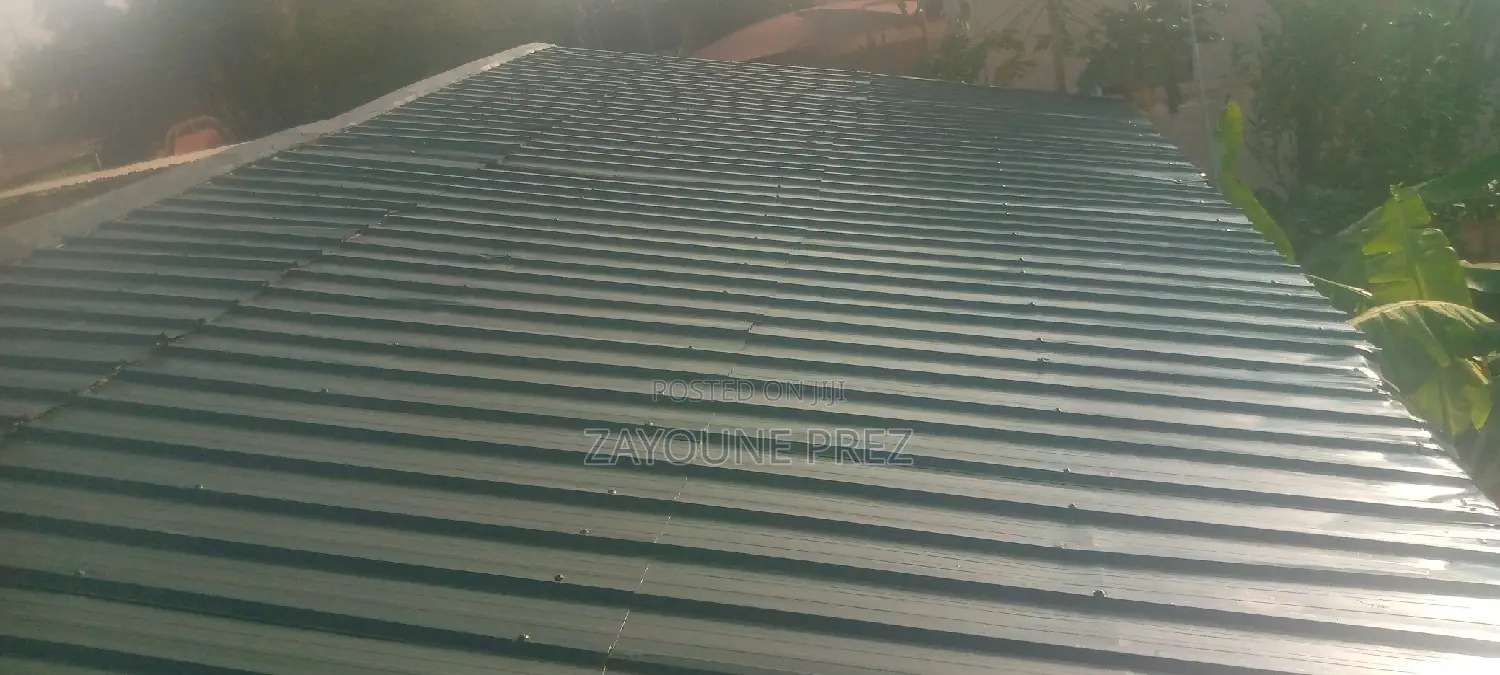 Roof Painting / Spraying