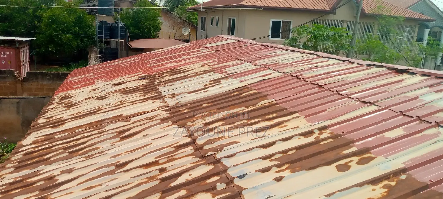 Roof Painting / Spraying