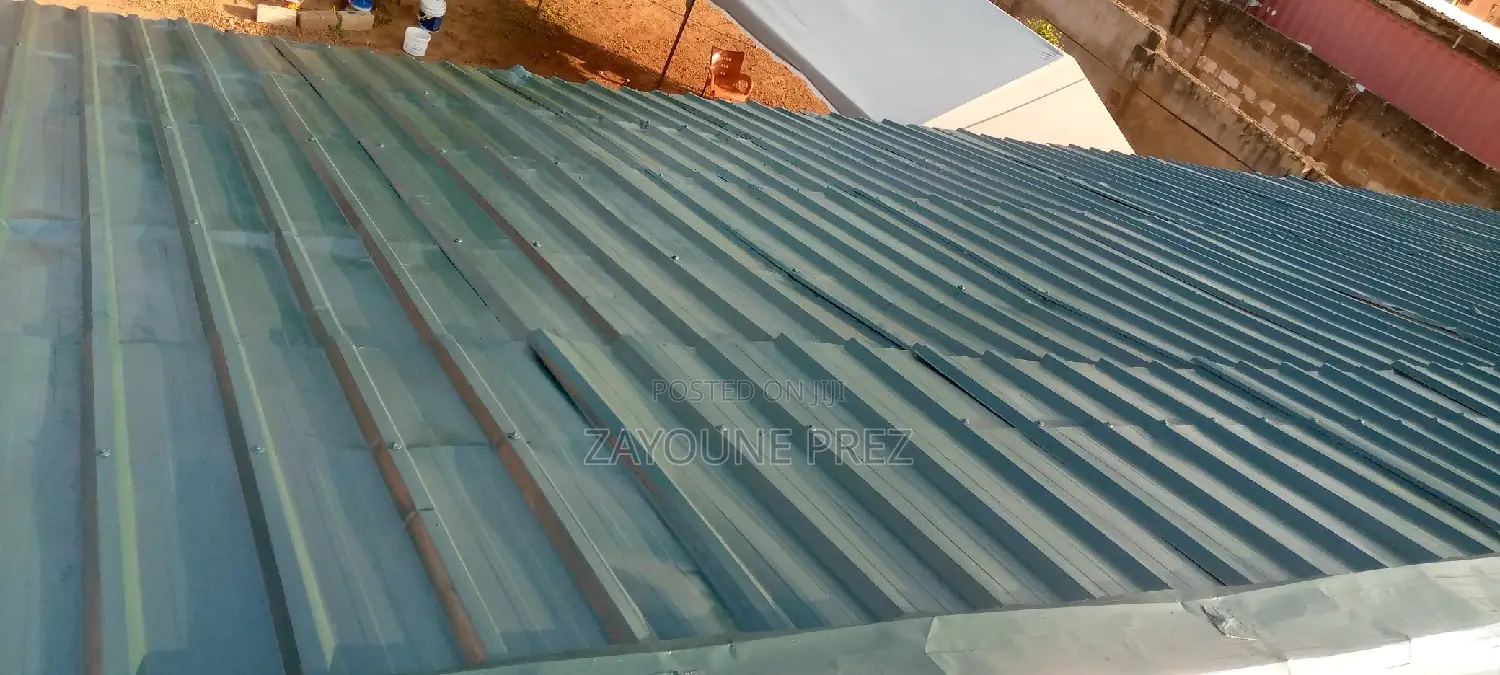 Roof Painting / Spraying