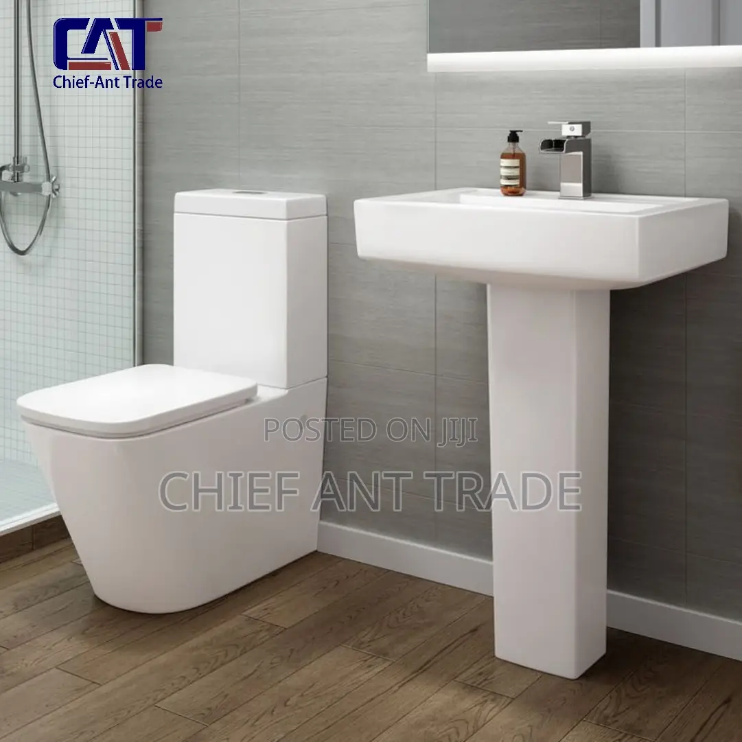 Slim Tank Toilet Seat Wc 309