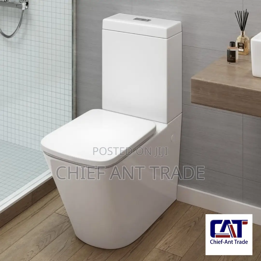 Slim Tank Toilet Seat Wc 309