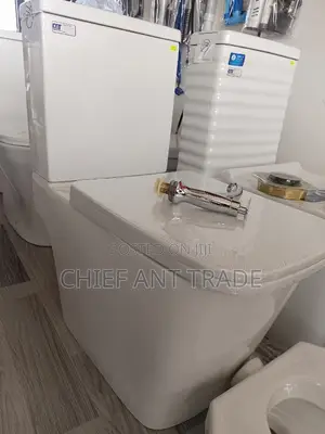 Slim Tank Toilet Seat Wc 309