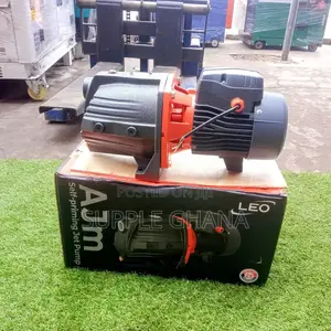 AJM60S LEO Water Pump Stainless Steel Jet Pump 1.0hp Correct
