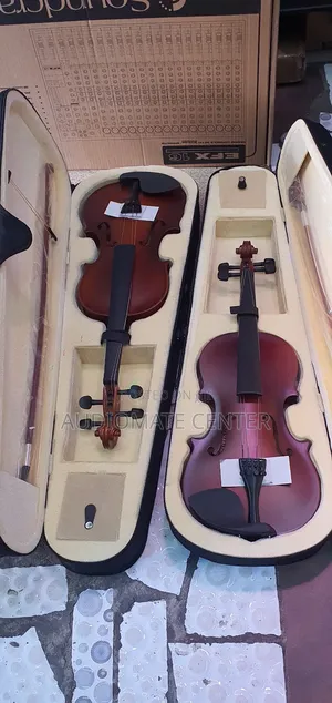Violin Instruments