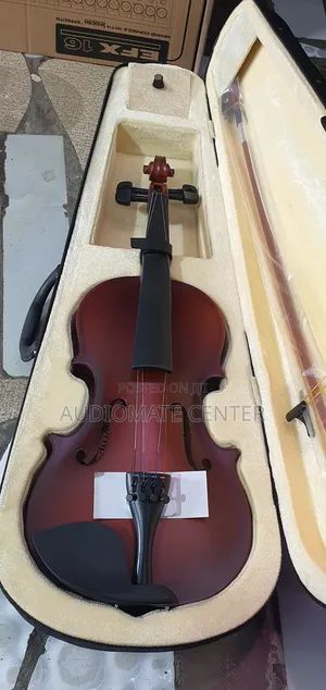 Violin Instruments