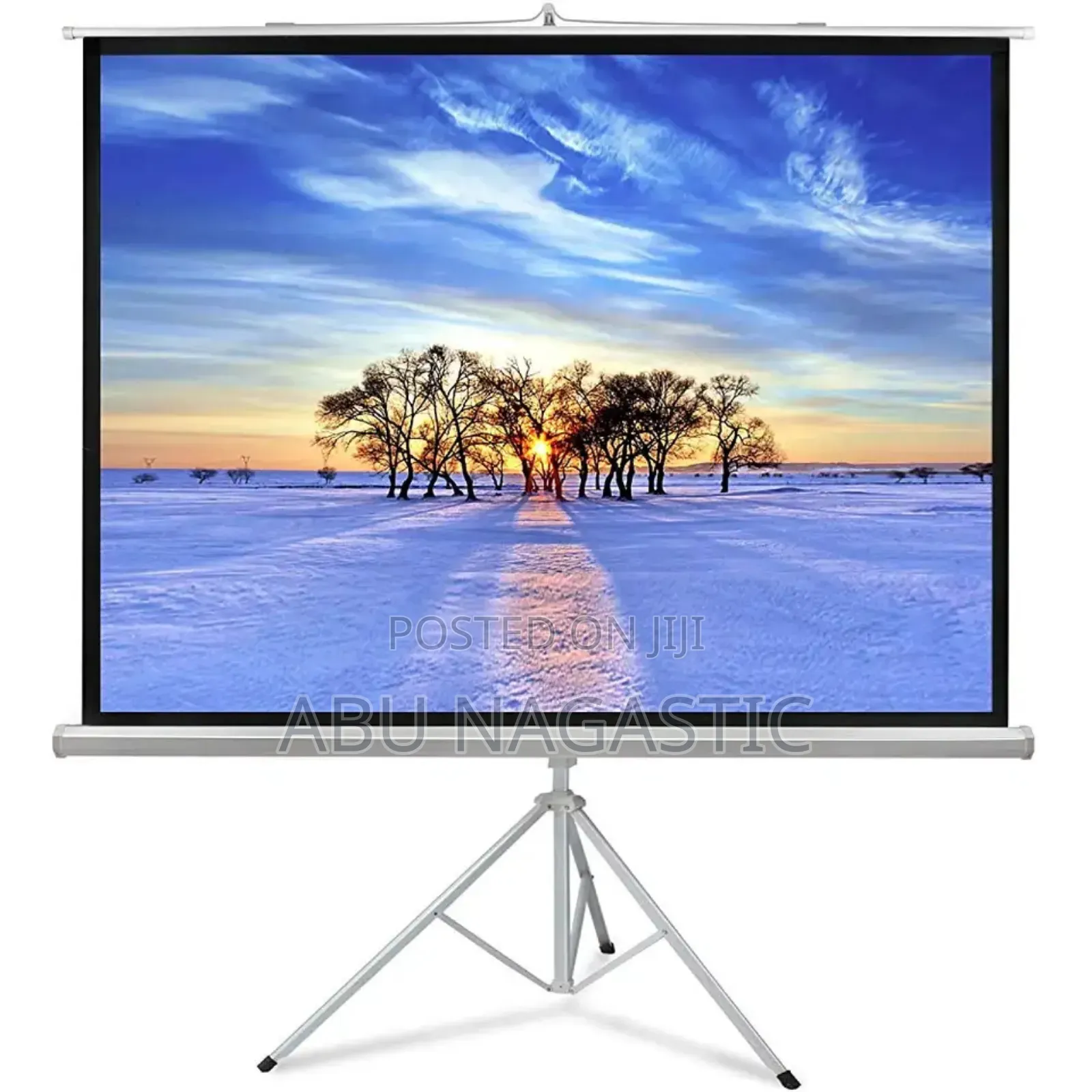 Tripod Projector Screen 143x143