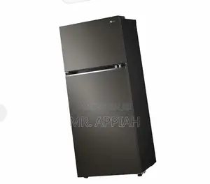 Shop Classic LG GN-B392PXGB Double Door Fridge(395l).