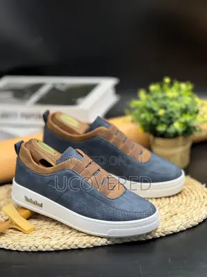 Timberland Navy and Brown Sneaker