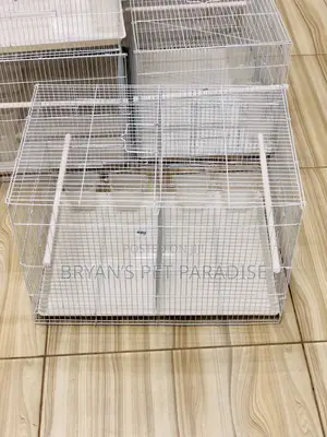 2 in 1 Parrot Cages