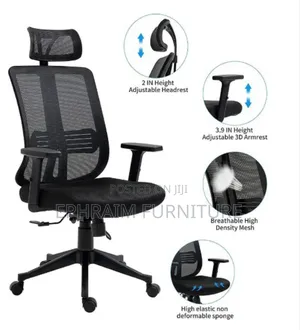 Ergonomic Chair
