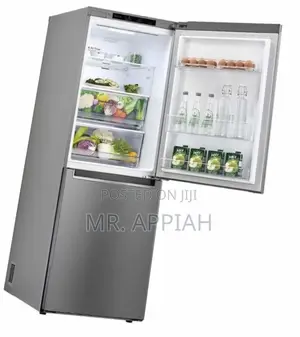 Quality LG GC-B399NLJM Bottom Freezer Electric Fridge(306L)