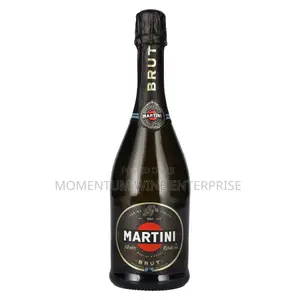 Martini Brut Champagne 75cl