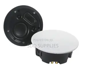 Passive Super Bass Ceiling Speaker Dual Tweeter Radiator