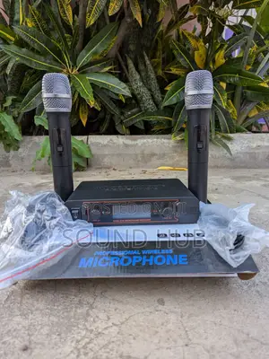 Professional Wireless Microphone