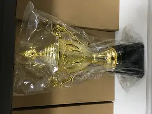 24cm Football Trophy