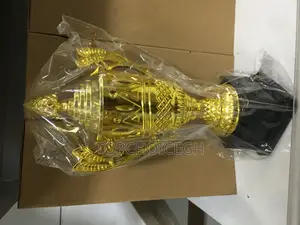 25cm Football Trophy