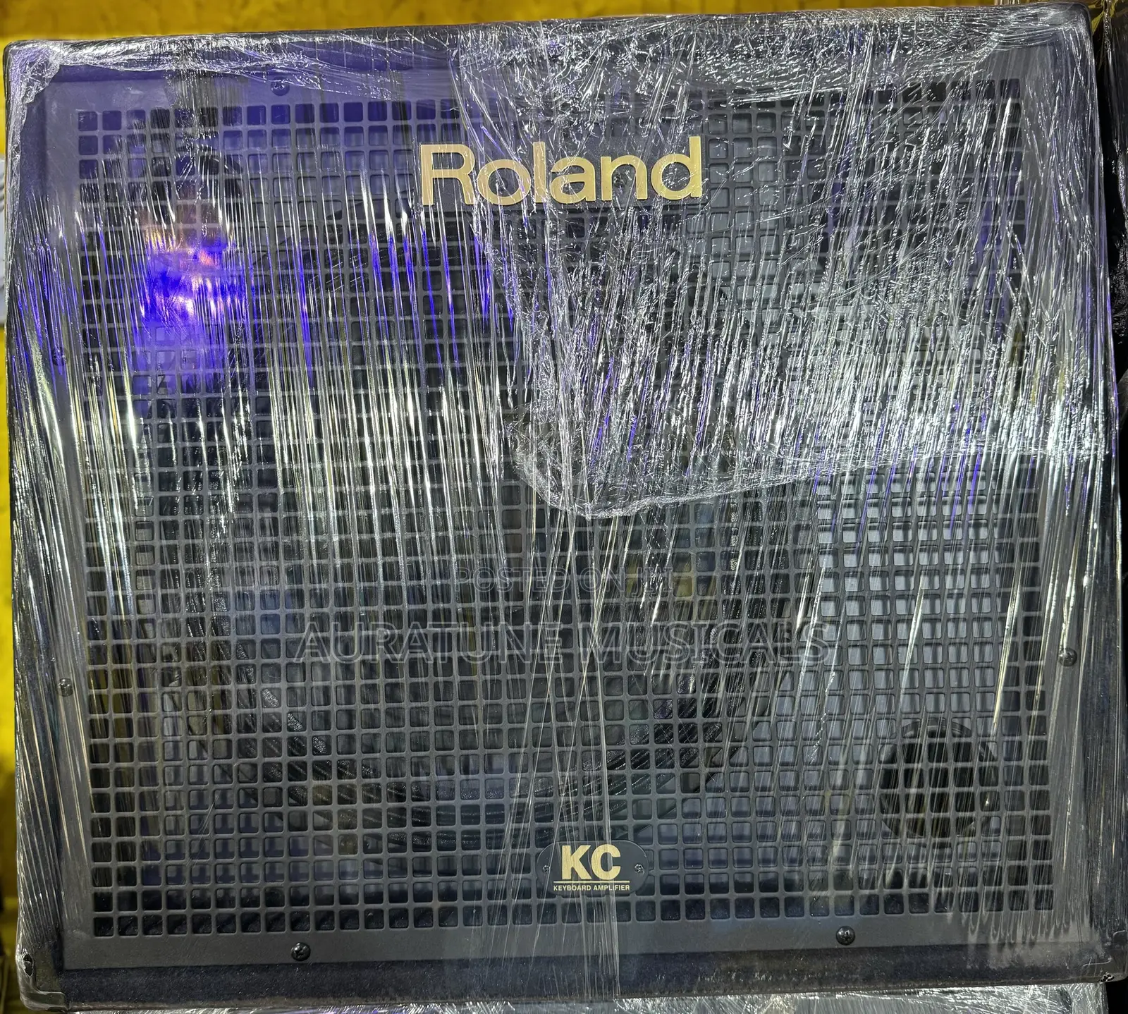 Roland Keyboard Combo (Kc-550)