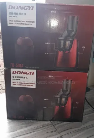 Dongyi Cold Press Slow Masticating Juicer