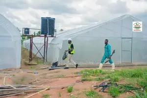 Vegetables Greenhouse