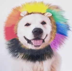 Takepride Lion Rainbow Headwear for Cat Dog Costume Large/Xl