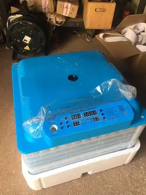 Egg Incubator