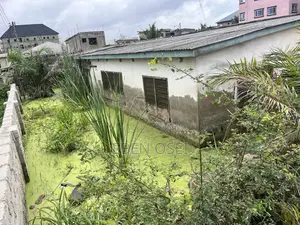 Dansoman-Ssnit