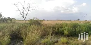 10.000 Acres of Land for Lease