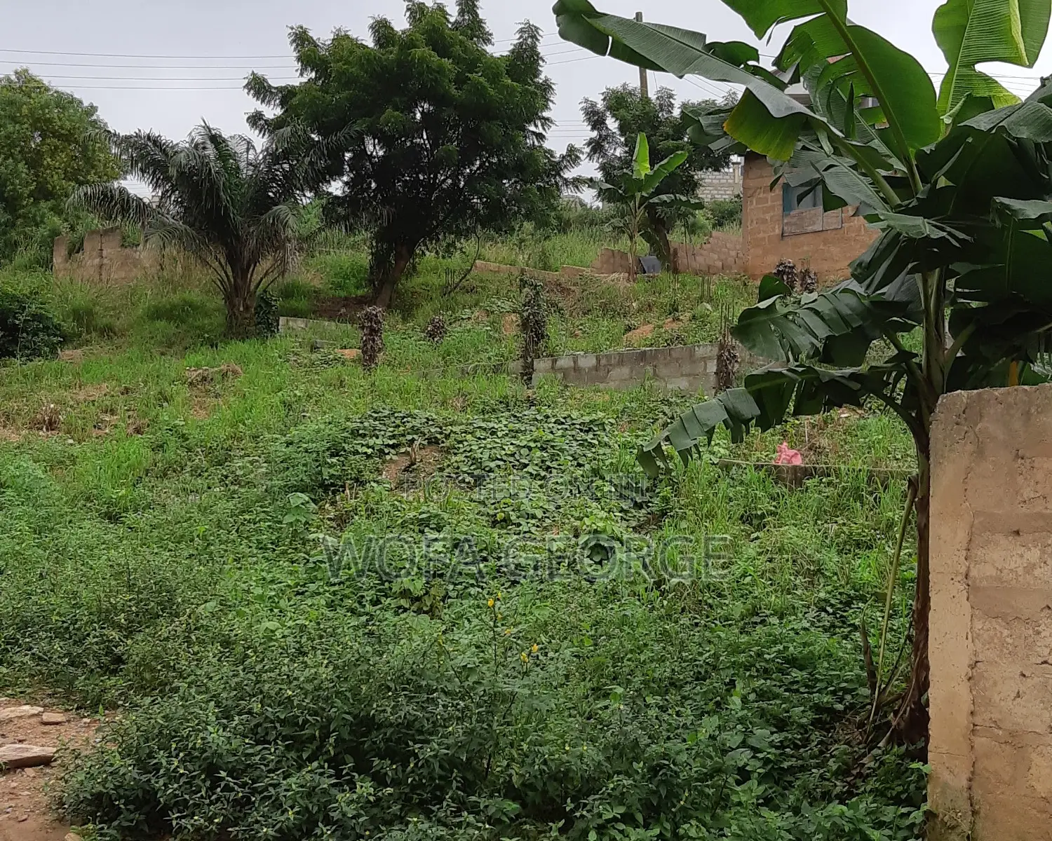 Land for Sale
