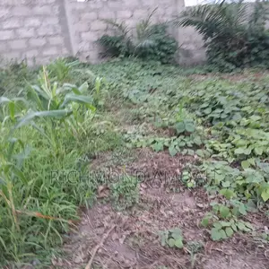 Half Plot for Sale at Assekea New Jersey