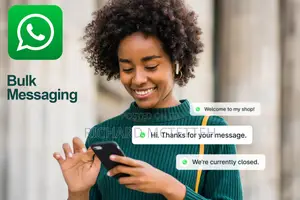 Whatsapp Bulk Messaging