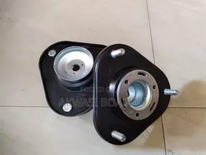 Toyota RAV4 2006/009 Top Mount Pair