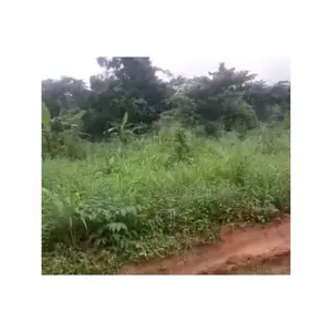2 Arces of Land for Rent