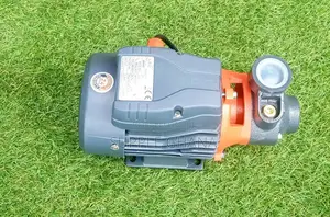 Jet 0.5hp Water Pump Stainless Steel Quality Supply Best 