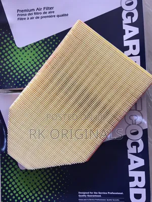 Chrysler 300 Dodge Charger 2011-2023 Air Filter From Usa